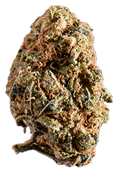 Best sativa strains in Canada