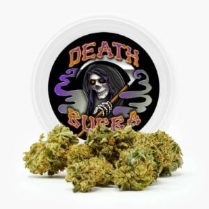 Westcoast Cali Tins – Premium Flower – Skywalker OG – 3.5g | {site_name}