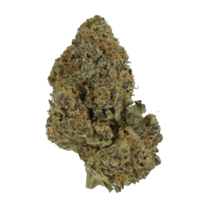 flower-lambs-breath-10-01-21