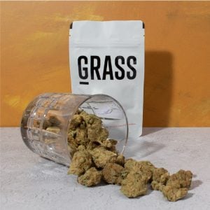 1/2OZ Sample Pack – SAVE 10%