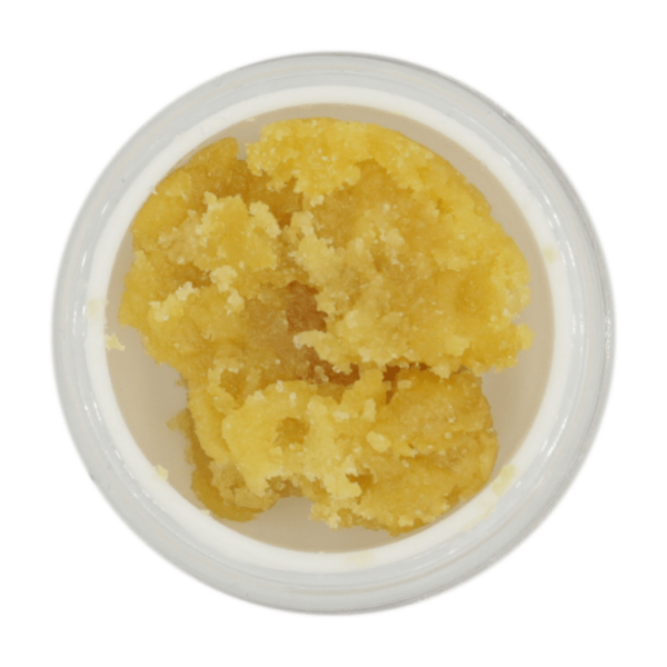 Budder White Shark