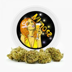 Westcoast Cali Tins – Premium Flower – Mimosa