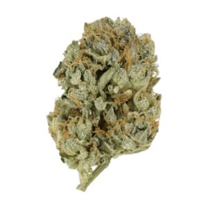 Kashmir Kush | {site_name}