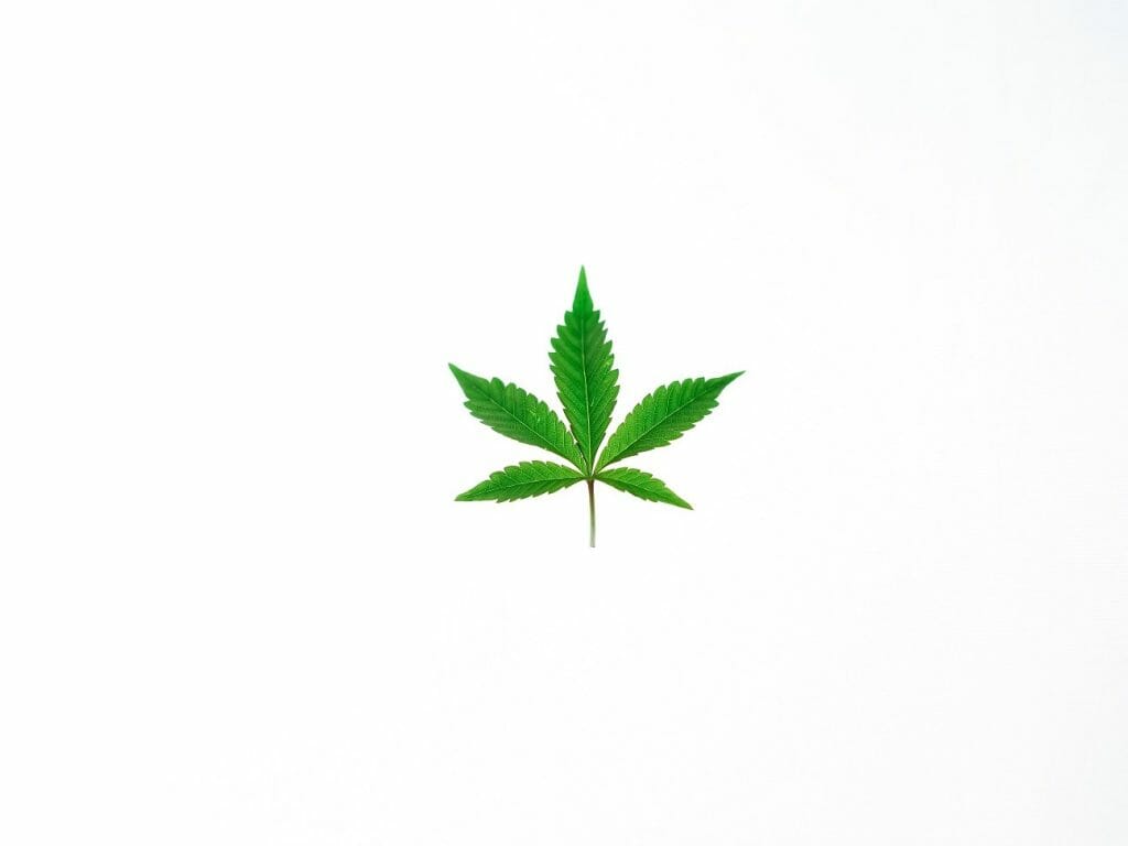 Benefits of Shopping in a BC Weed Online Dispensary