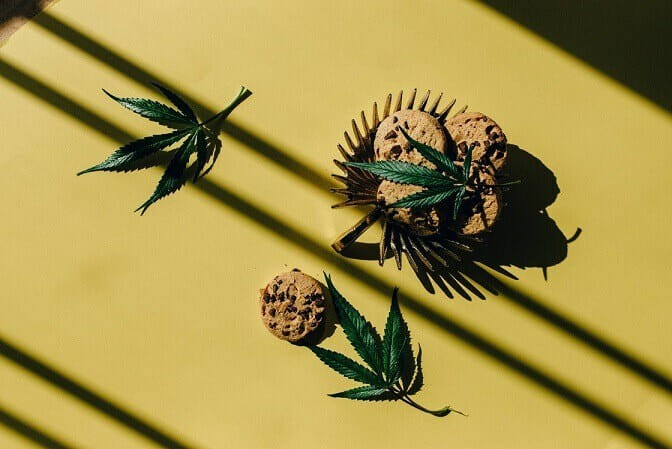 Cannabis Chocolates 