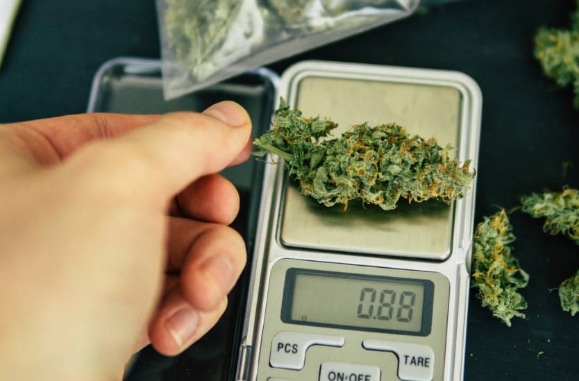 Cannabis Measurements Guide