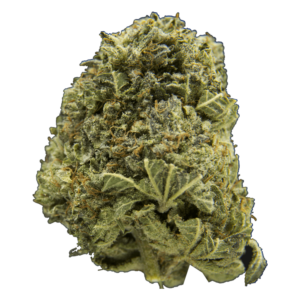 Grasslife - Flower - Cookies Kush