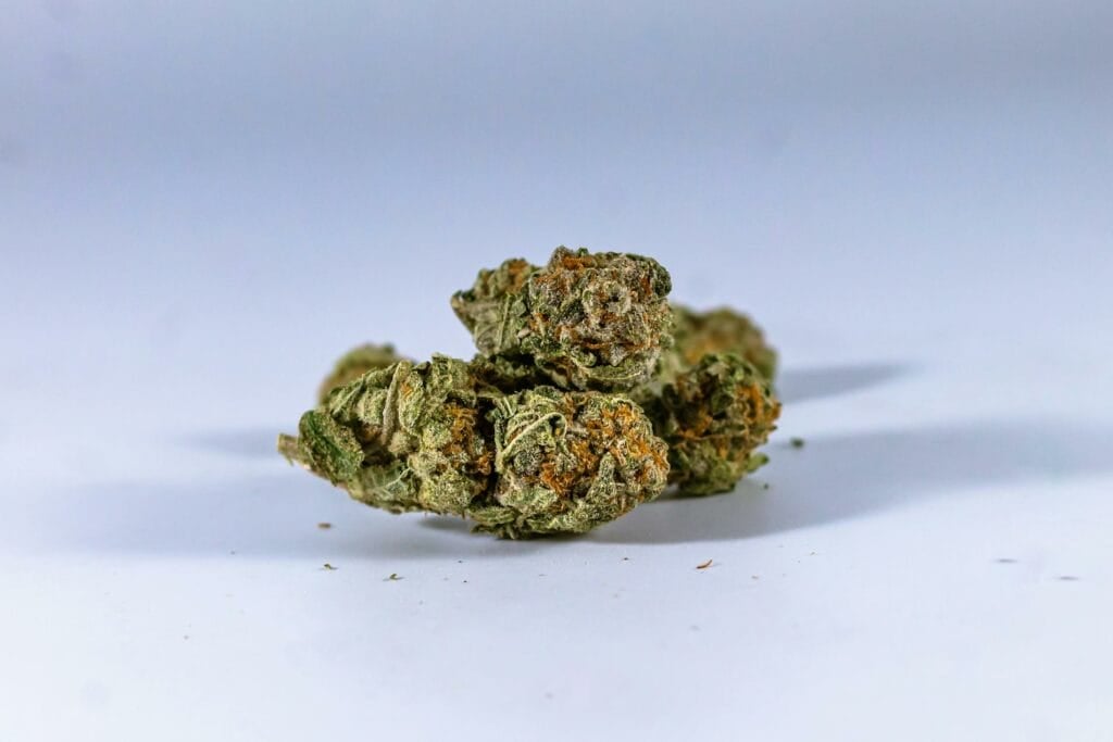 Best Blue Coma Strain in Canada