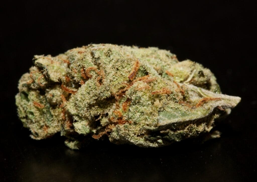 buy sativa weed